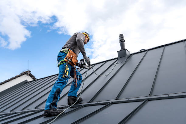 Best Roof Ventilation Installation  in Winnemucca, NV