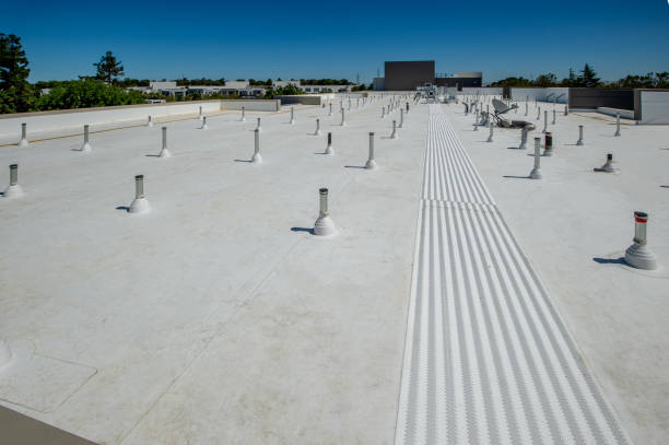 Best Cold Roofs  in Winnemucca, NV